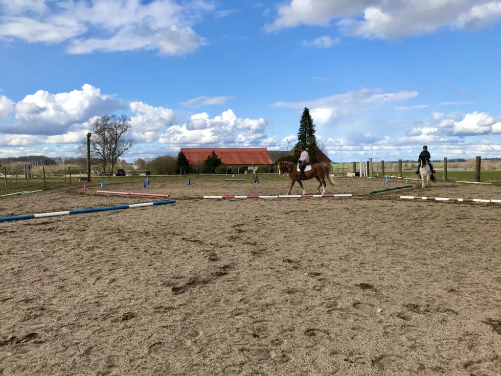 Gården på hippopower