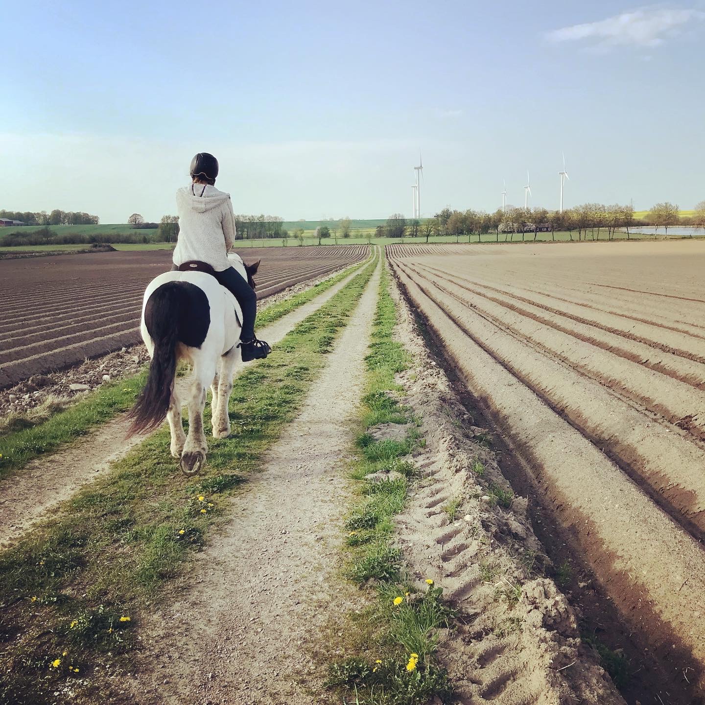 Hippopower ridterapi