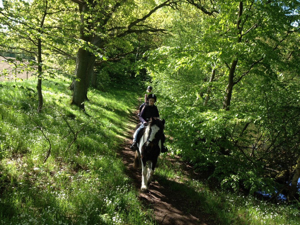 Priser på Hippopower